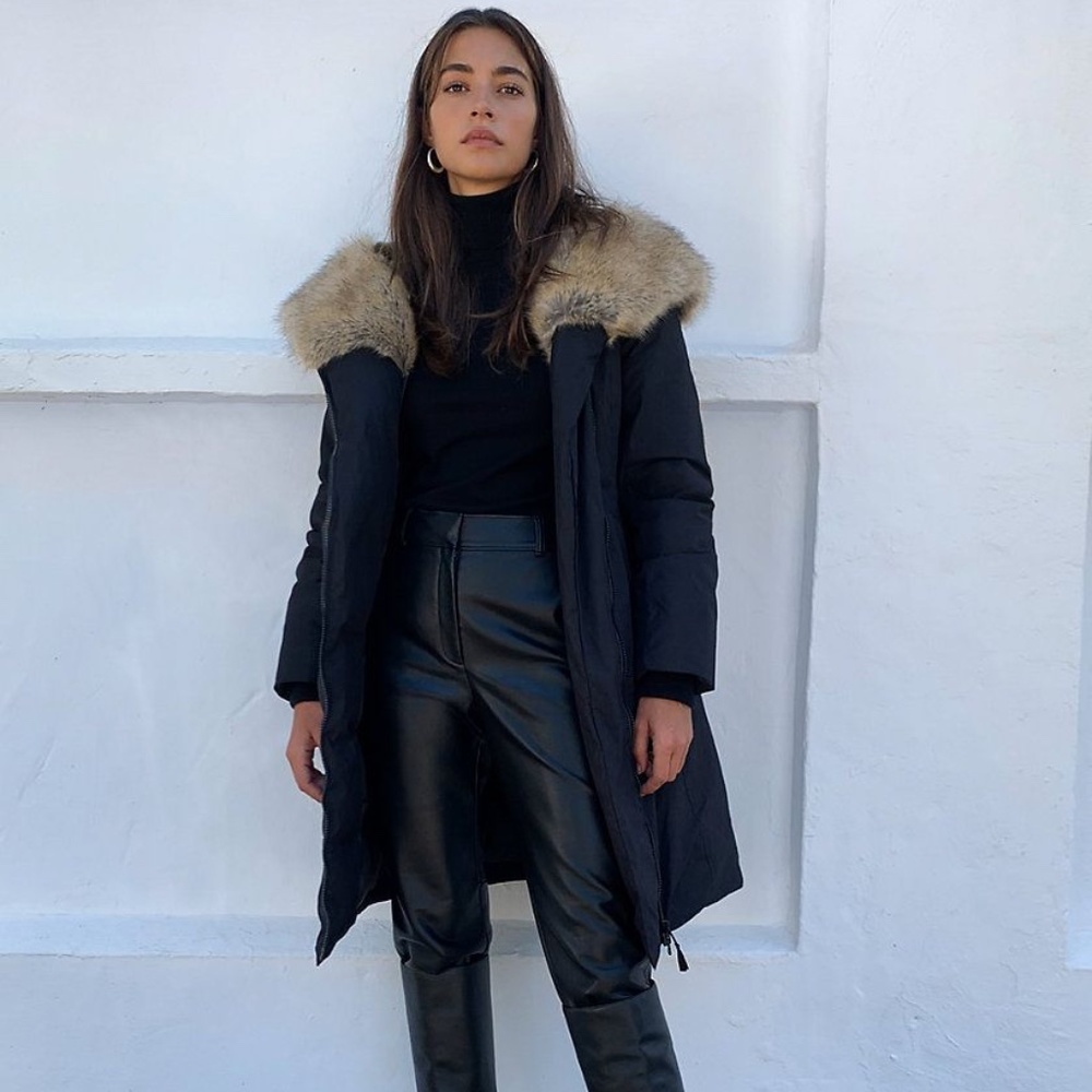 Aritzia St Moritz Parka